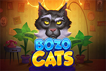 Bozo Cats